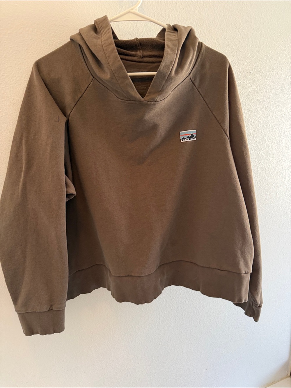 ✨ Patagonia Women's Regenerative Organic Certified™ Cotton Essential Hoody